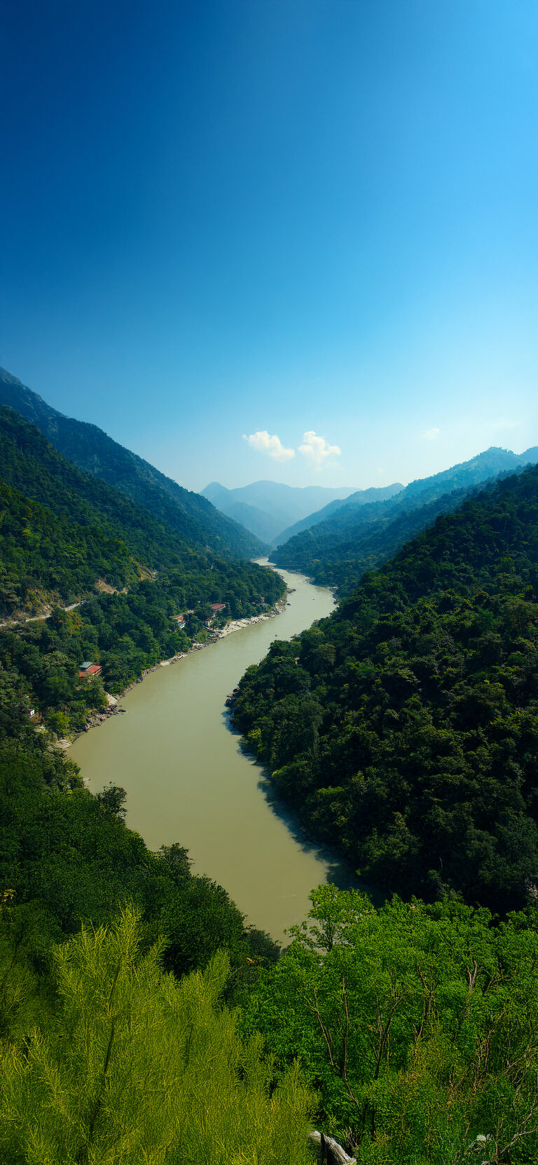 Green River Valley iPhone | Lush Forest Slopes wallpaper 4K