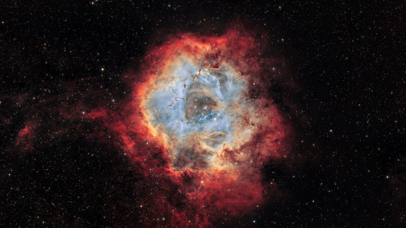 Rosette Nebula Blooming Among Milky Way Stars wallpaper 4K
