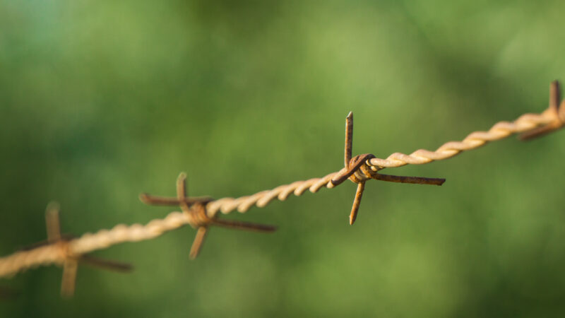 Rusted Barbed Wire Close-Up Green Bokeh Desktop Wallpaper HD wallpaper 4K