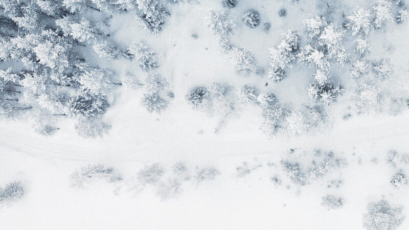 Snowy Forest Aerial View | Winter Scene iPhone wallpaper 4K