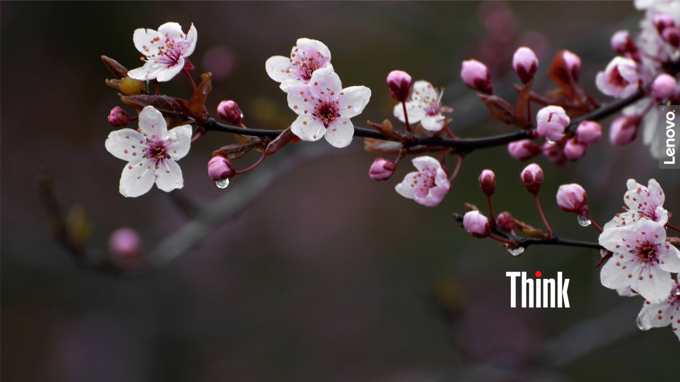 Lenovo Wallpapers
