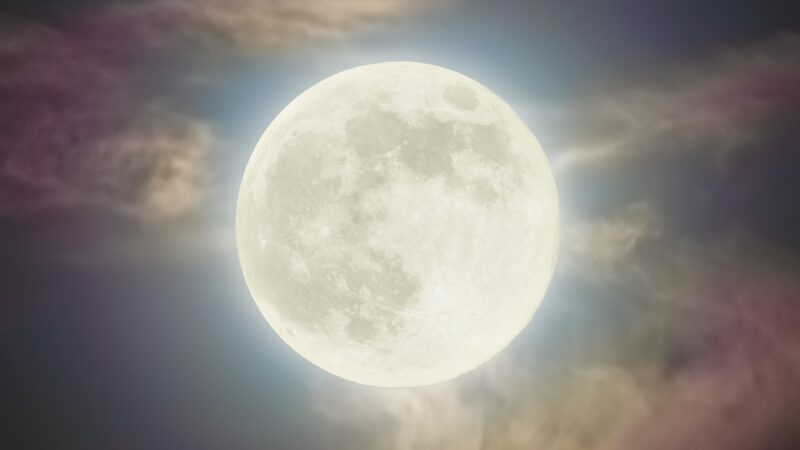 Super Pink Moon Rises Over Cloud Cover wallpaper 4K