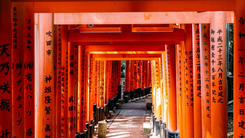 Torii Gates Pathway | Sacred Light iPhone wallpaper 4K