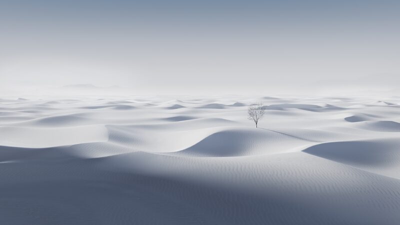White Dreamscape Of Endless Dunes wallpaper 4K