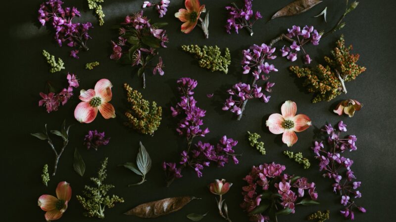 Wildflowers Dark Bloom | Delicate Floral Desktop wallpaper 4K