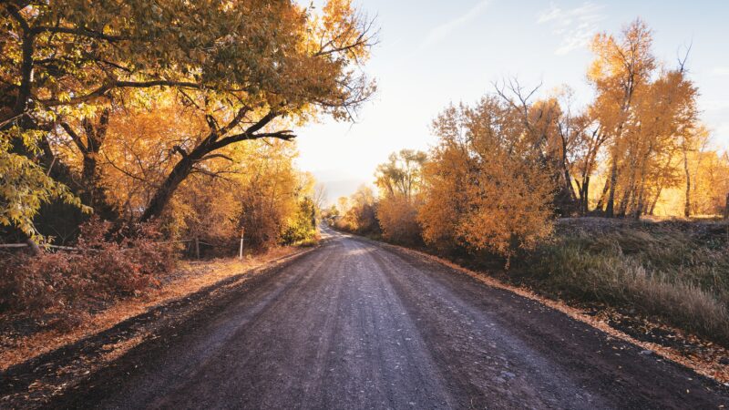 Autumn Country Road | Golden Foliage Desktop wallpaper 4K