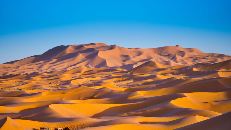 Golden Sand Dunes | Desert Light Desktop wallpaper 4K