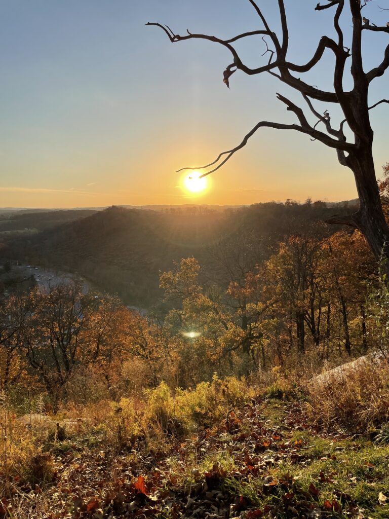 Golden Hillside Sunset | iPhone Autumn Scenery wallpaper 4K