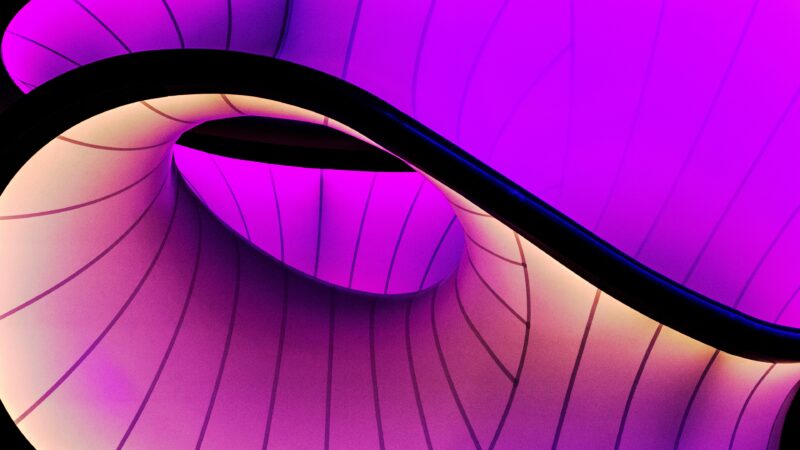 Pink Purple Curves Desktop | Flowing Abstract Lines wallpaper 4K