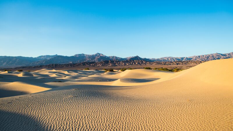 Sand Dunes & Mountains Desktop | Golden Desert View wallpaper 4K